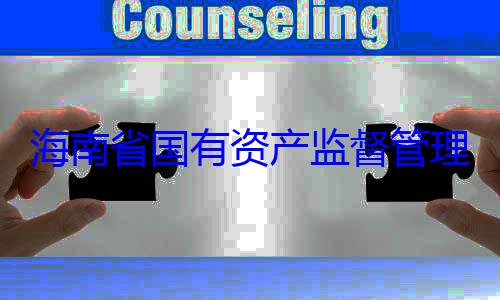委副书记王资产监督管理委员会党海南省国有有福接受审查调查